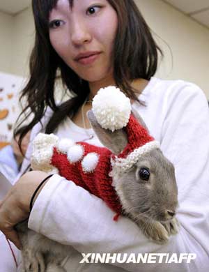 It's bunny time!
