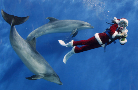 Christmas warm-up in Japan