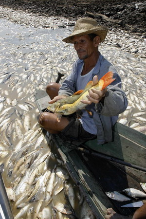 Stacks of fishes die in Amzon tributary