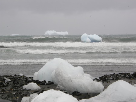 Icebergs head from Antarctica for New Zealand