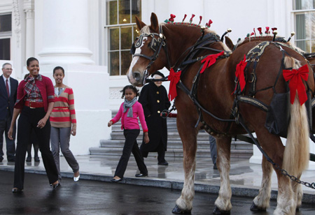 Christmas Tree arrives at White House