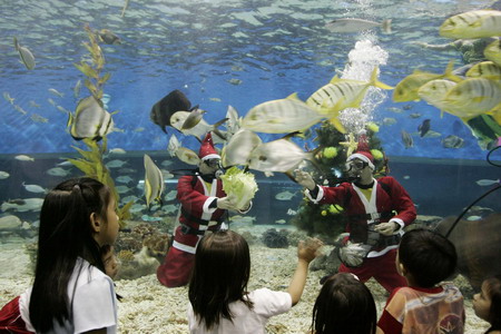 Under-water Christmas holiday show in Philippines