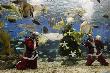 Under-water Christmas holiday show in Philippines