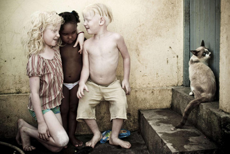 RNPS images of the year 2009