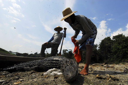 Drought hits Brazil