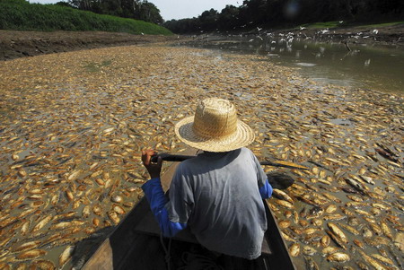 Drought hits Brazil