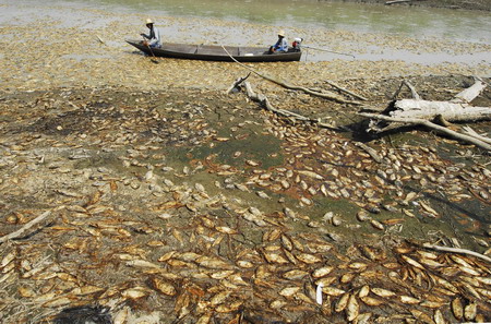 Drought hits Brazil
