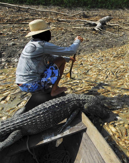 Drought hits Brazil