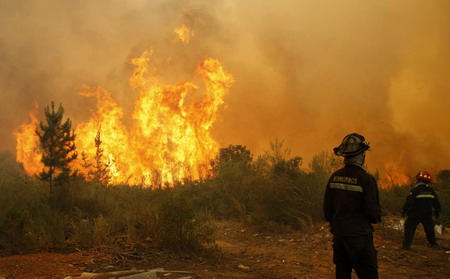 Forest fire in Chile burns thousands of acres of land