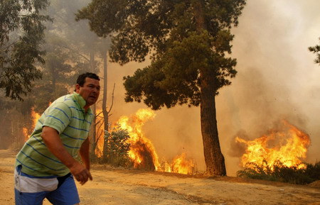 Forest fire in Chile burns thousands of acres of land