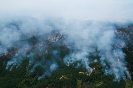 Forest fire in Chile burns thousands of acres of land