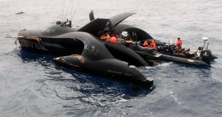 Lines harden in dispute over Japanese whaling