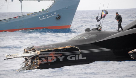Activists pursue Japanese whalers by helicopter