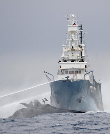 Activists pursue Japanese whalers by helicopter