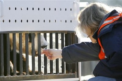 Superstar farewell for US-born, China-bound pandas