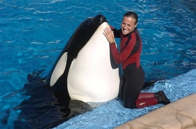 SeaWorld will keep whale despite trainer's death