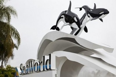 Trainer killed in SeaWorld killer whale 'attack'