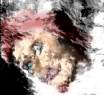 Nine spectacles on Mars