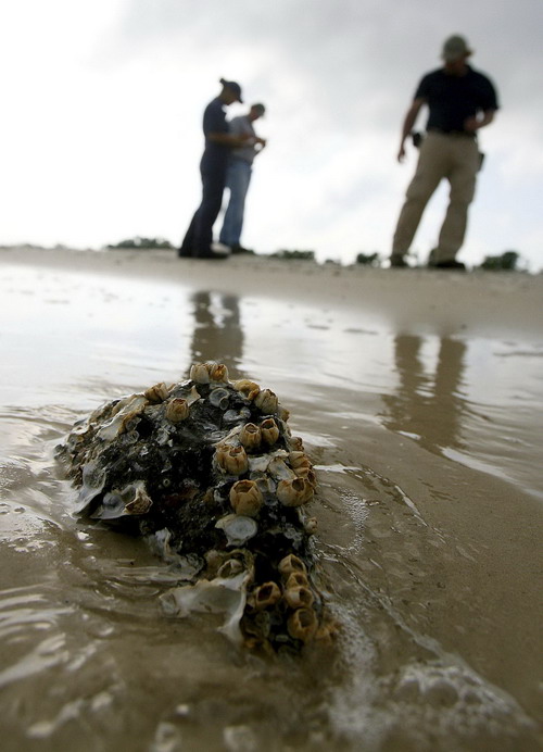 Mexico begins oil spill probe in Gulf of Mexico