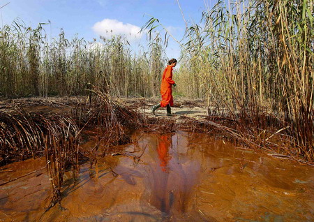 Heavy oil hits Louisiana's fragile marshland