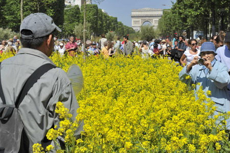 Farmers turn Champs-Elysees into giant garden