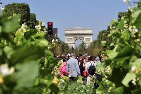 Farmers turn Champs-Elysees into giant garden