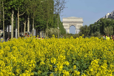 Farmers turn Champs-Elysees into giant garden