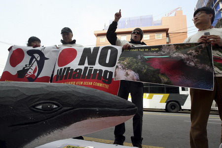 Australia takes Japan to Hague court on whaling