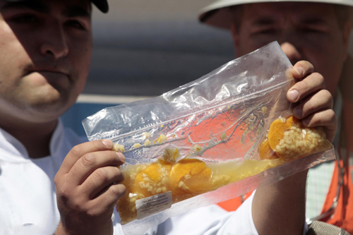 Rescue drill reaches trapped Chilean miners amid celebrations
