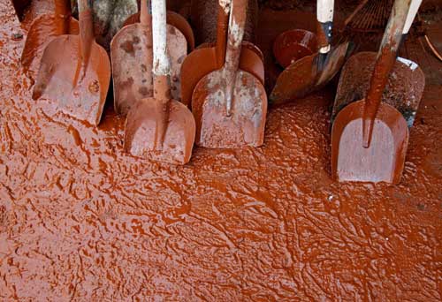 Hungary sludge flood called 'ecological disaster'