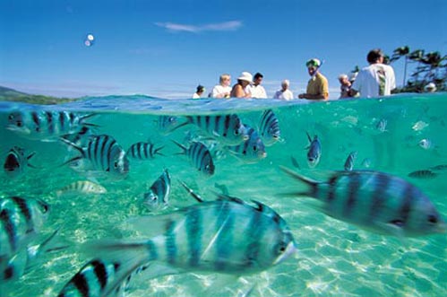 Fiji Islands