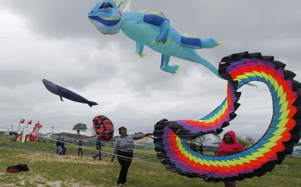Flying high at kite festival