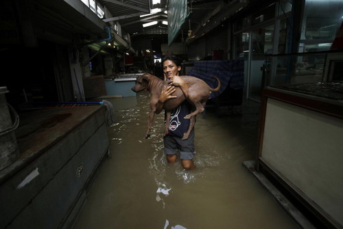 2 weeks of flooding in Thailand kill 57 people