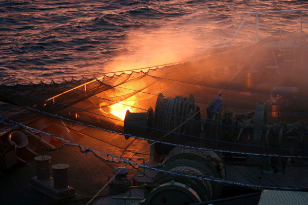 Japan's whaling season halted by activists