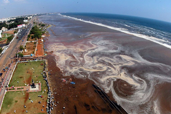 Tsunamis triggered by major earthquakes globally in recent years
