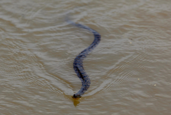 Mississippi Delta braces for historic flood