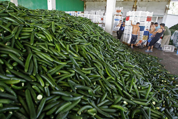 EU considers 30% compensation to farmers