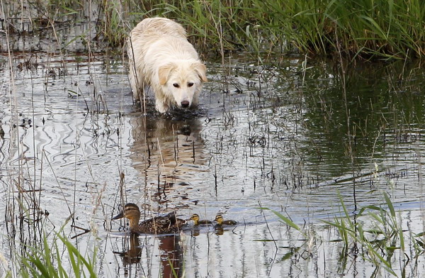 Snapshots: the world in 24 hours, July 3