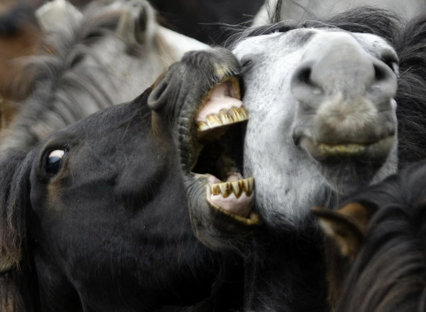 Snapshots: the world in 24 hours, July 3