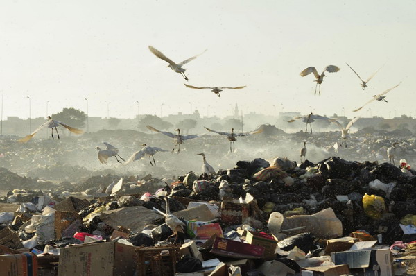 Snapshots: the world in 24 hours, July 4