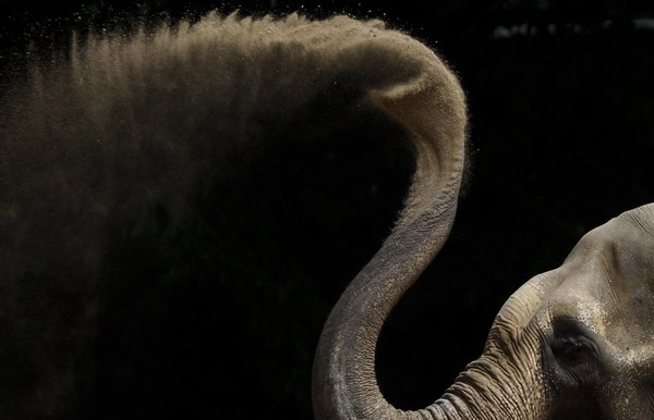 Snapshots: the world in 24 hours, July 7
