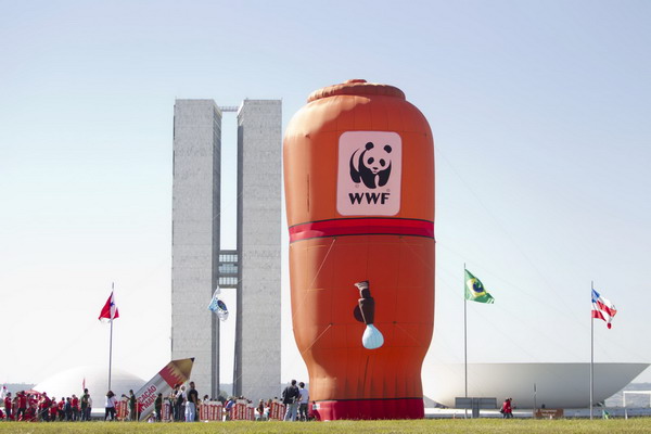 Group criticizes global forest protection effort