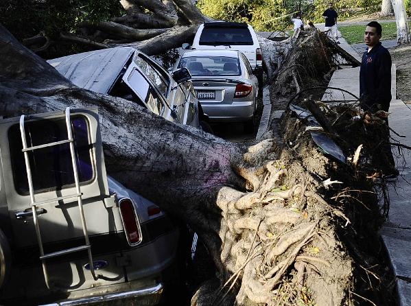 Winds knock out power in S California