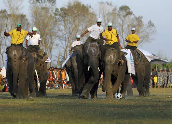 Elephant race kicks off in Nepal