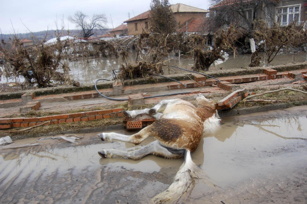 Cold kills 33 more in Europe, dam breaks in Bulgaria