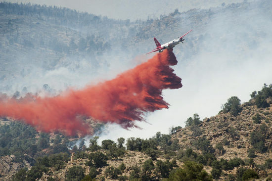 Aerial firefighting in Wellington