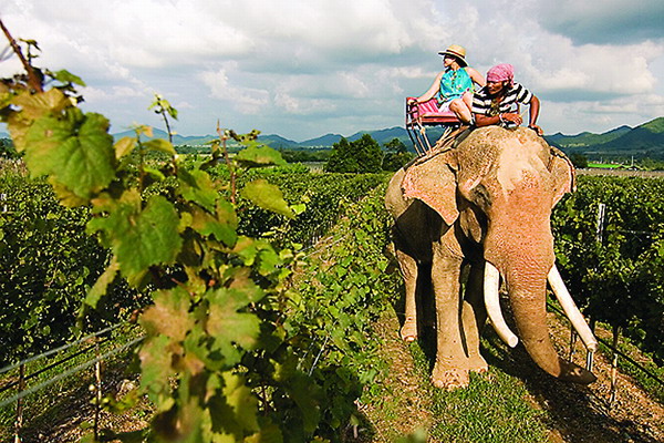 Touring Thailand, a place fitting for a king