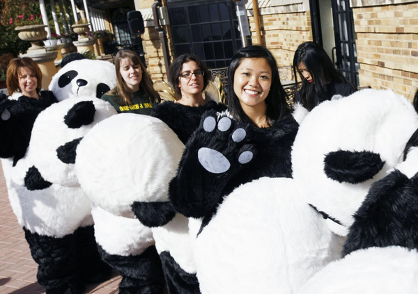 'Pandas' hot to globe-trot