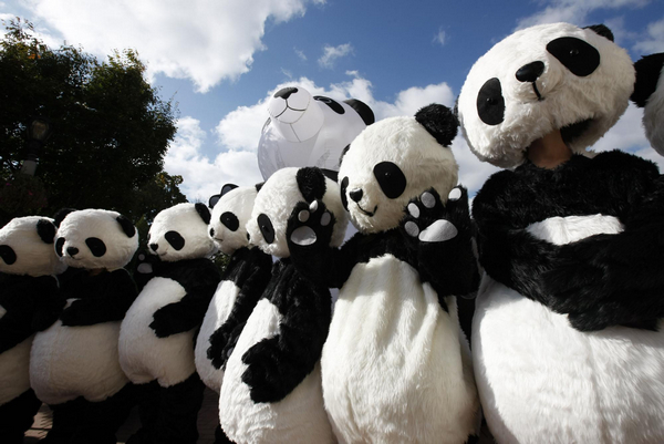 'Pandas' hot to globe-trot
