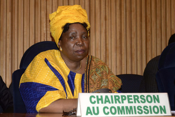 AU chief attends peace council meeting